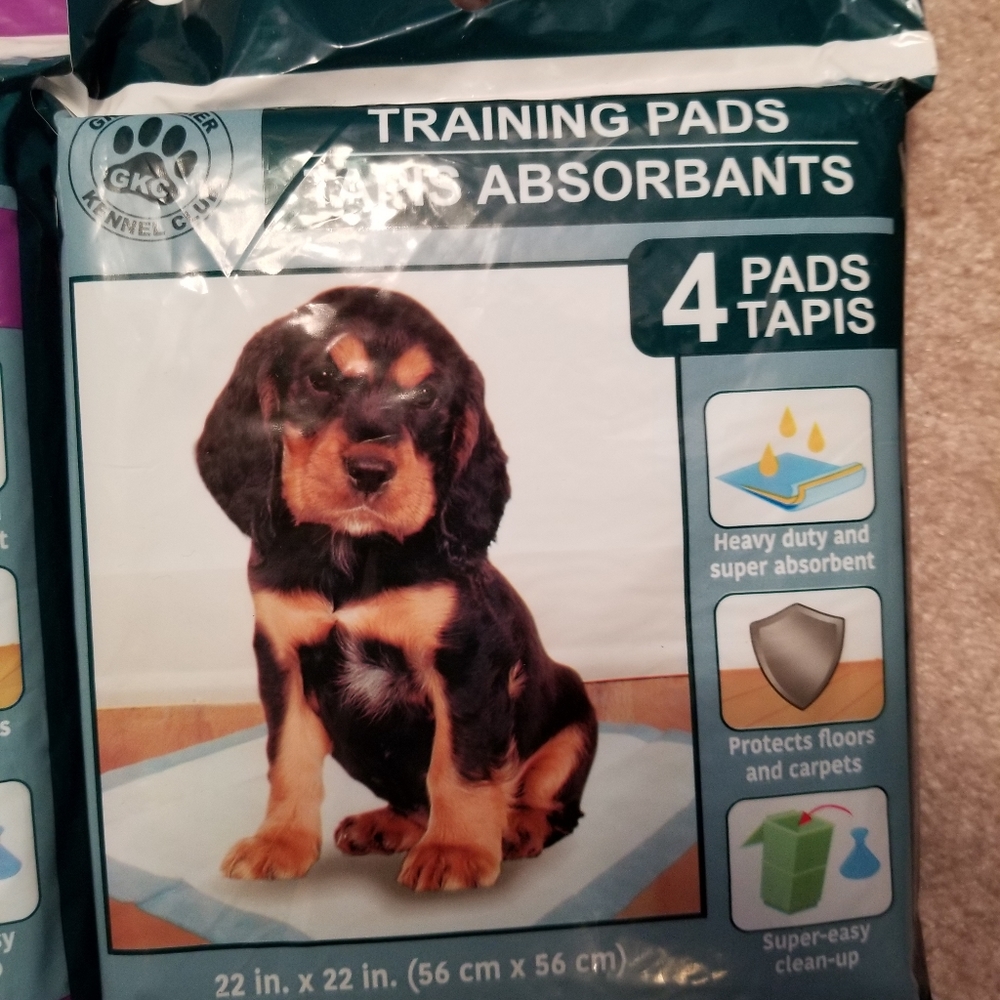 Dog Leash & Training Pads - Picture 5 of 5